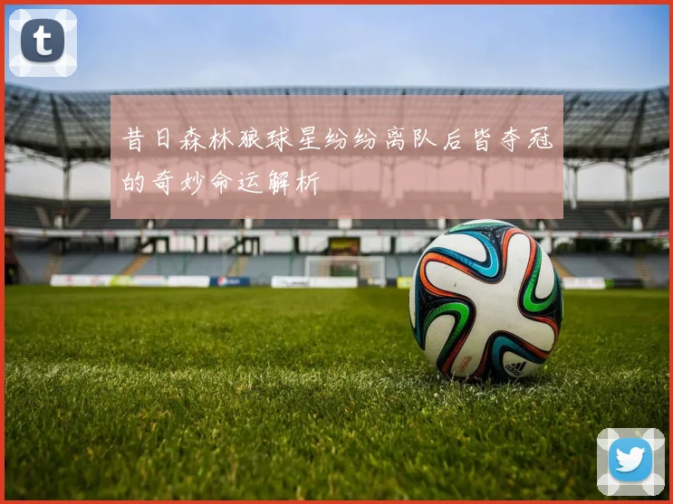 昔日森林狼球星纷纷离队后皆夺冠的奇妙命运解析